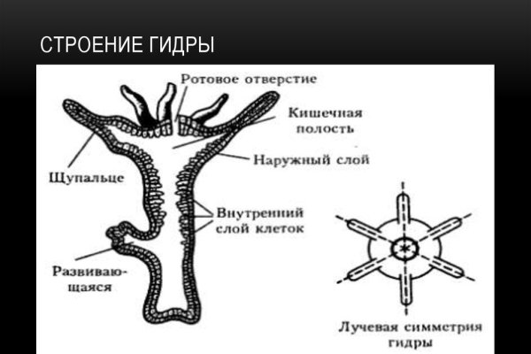 Где найти рабочую ссылку на кракен