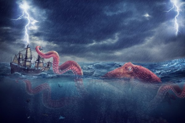 Kraken 12