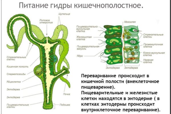 Действующие ссылки на кракен