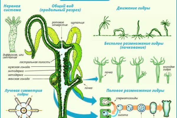 Кракен сайт kr2web