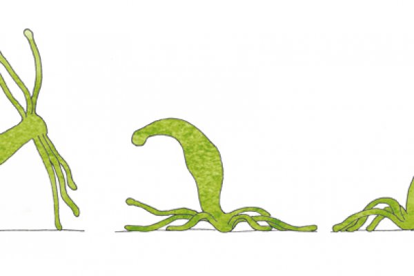 Kraken сайт магазин