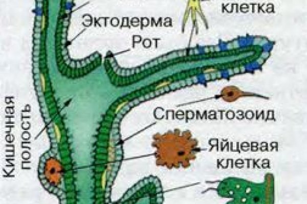 Не могу зайти на кракен