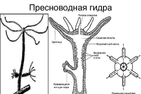 Кракен супернет как зайти