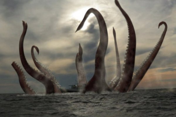 Kraken whitenet market ссылка тор