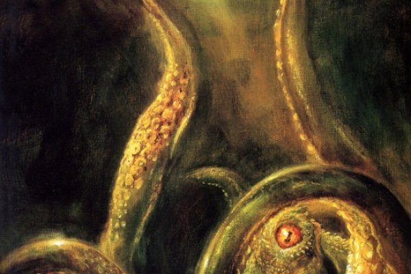 Kraken вход kraken torion