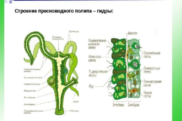 Сайты супернета