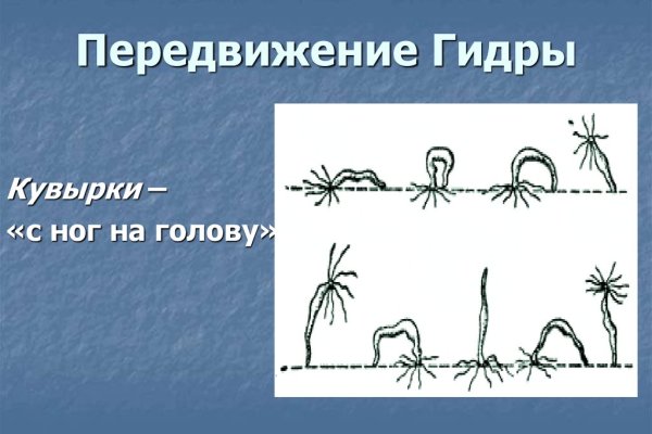 Kraken whitenet ссылка тор