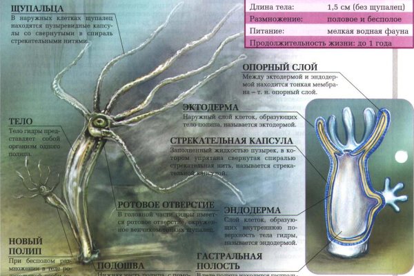 Кракен современный супернет