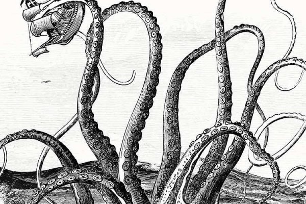 Kraken 15 at