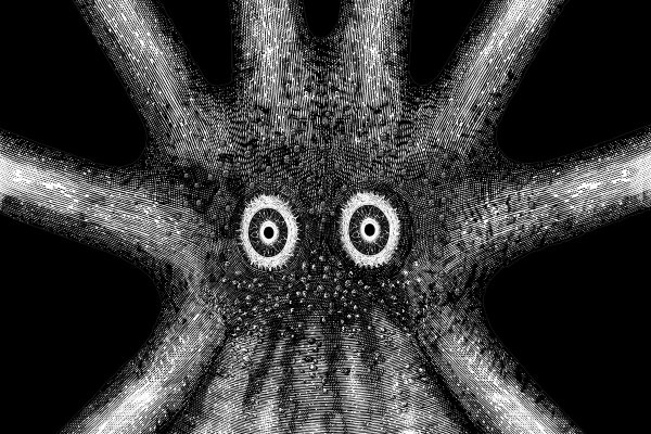 Настоящий сайт kraken