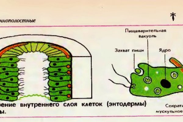 Кракен это сайт что продают