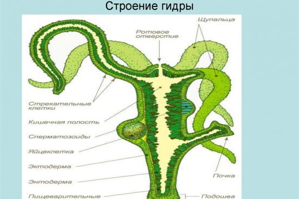 Актуальная ссылка на кракен